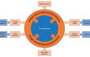 Early Interventions to Reduce the Impact of Immunogenicity on the Development of Biopharmaceuticals